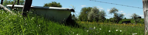 Photo de la nature environnante