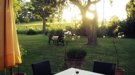 Sunset in the garden