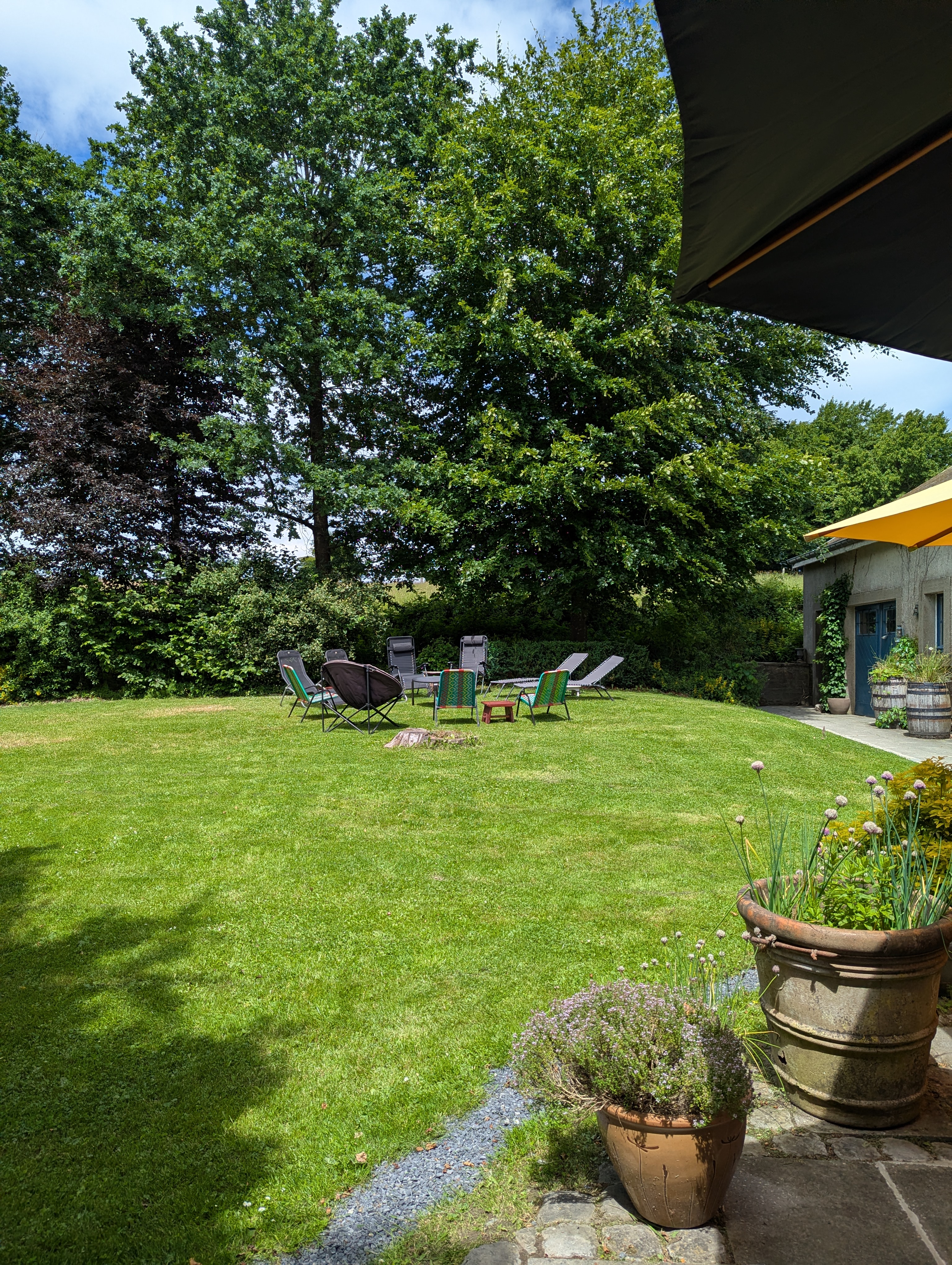The backyard is a hidden and green place with old trees